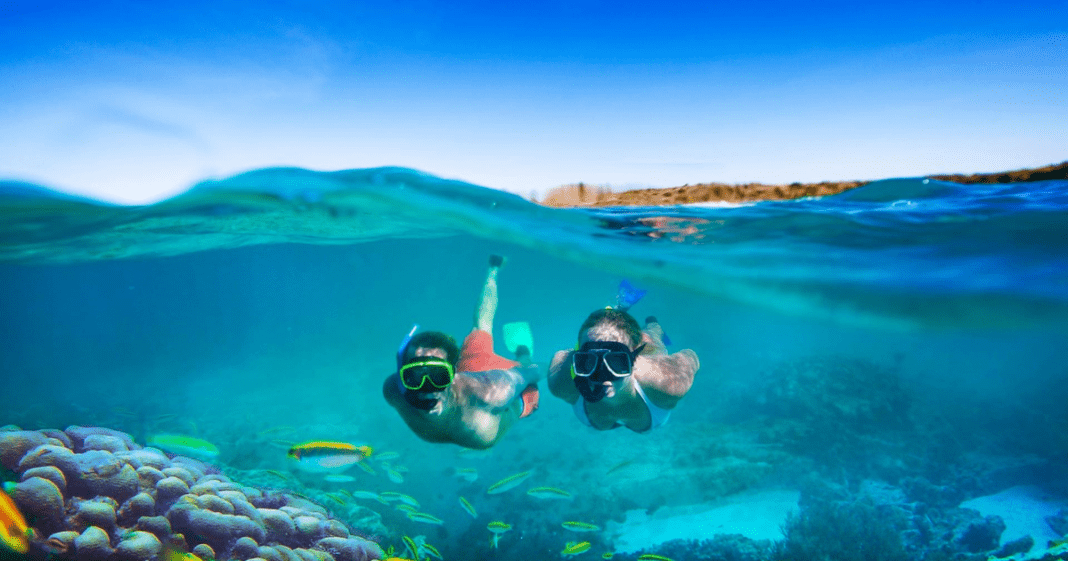 Quick Snorkeling Tips for Beginners